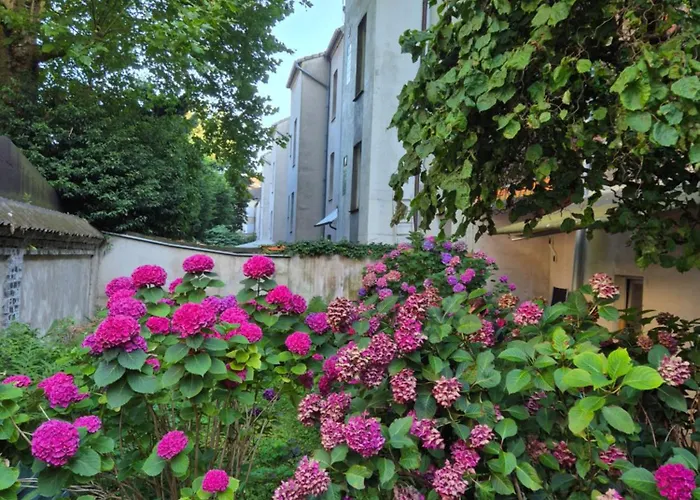 Appartement Karolina Gelsenkirchen